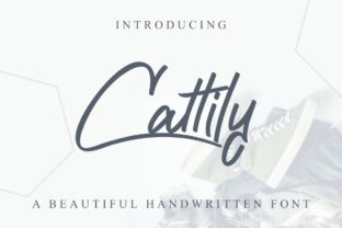 Cattily: The Script Font for Scroll-Stopping Social Media
